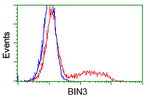BIN3 Antibody in Flow Cytometry (Flow)