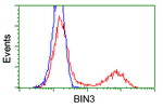 BIN3 Antibody in Flow Cytometry (Flow)