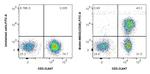CD28 Antibody in Flow Cytometry (Flow)