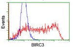 BIRC3 Antibody in Flow Cytometry (Flow)