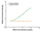 BIRC5/Survivin Antibody in ELISA (ELISA)