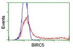 BIRC5/Survivin Antibody in Flow Cytometry (Flow)