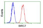BIRC7 Antibody in Flow Cytometry (Flow)
