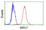 BIRC7 Antibody in Flow Cytometry (Flow)