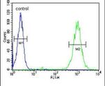 Blooms Syndrome Antibody in Flow Cytometry (Flow)