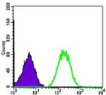 BLNK Antibody in Flow Cytometry (Flow)