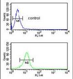 BLNK Antibody in Flow Cytometry (Flow)