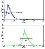 BMPR1A Antibody in Flow Cytometry (Flow)