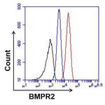 BMPR2 Antibody in Flow Cytometry (Flow)