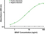 BRAF Antibody in ELISA (ELISA)