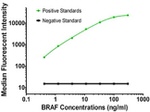 BRAF Antibody in Luminex (Luminex)