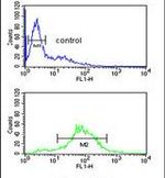 BTBD9 Antibody in Flow Cytometry (Flow)