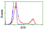 BTK Antibody in Flow Cytometry (Flow)