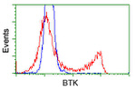 BTK Antibody in Flow Cytometry (Flow)