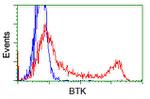 BTK Antibody in Flow Cytometry (Flow)