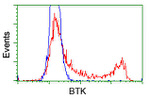 BTK Antibody in Flow Cytometry (Flow)