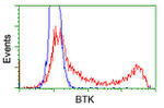 BTK Antibody in Flow Cytometry (Flow)