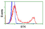 BTK Antibody in Flow Cytometry (Flow)
