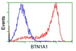 BTN1A1 Antibody in Flow Cytometry (Flow)