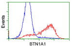 BTN1A1 Antibody in Flow Cytometry (Flow)