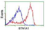 BTN1A1 Antibody in Flow Cytometry (Flow)
