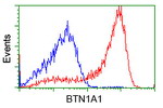 BTN1A1 Antibody in Flow Cytometry (Flow)