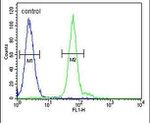 ATG14 Antibody in Flow Cytometry (Flow)