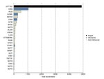 p27 Kip1 Antibody