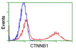 Beta-catenin Antibody in Flow Cytometry (Flow)