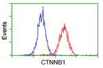 Beta-catenin Antibody in Flow Cytometry (Flow)