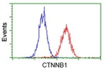 Beta-catenin Antibody in Flow Cytometry (Flow)