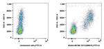 CD13 Antibody in Flow Cytometry (Flow)