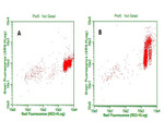BrdU Antibody in Flow Cytometry (Flow)