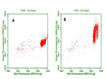 BrdU Antibody in Flow Cytometry (Flow)