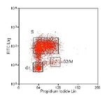 BrdU Antibody in Flow Cytometry (Flow)