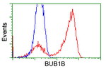 BuB1B Antibody in Flow Cytometry (Flow)