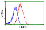 BuB1B Antibody in Flow Cytometry (Flow)