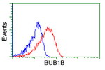 BuB1B Antibody in Flow Cytometry (Flow)