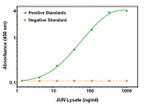 C-Jun Antibody in ELISA (ELISA)