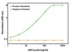 C-Jun Antibody in ELISA (ELISA)