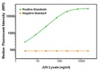 C-Jun Antibody in Luminex (Luminex)