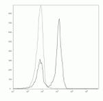 CD45R Antibody in Flow Cytometry (Flow)