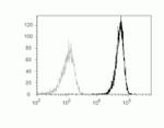 CD45 Antibody in Flow Cytometry (Flow)