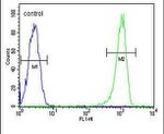 C11orf53 Antibody in Flow Cytometry (Flow)
