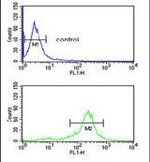 C19orf26 Antibody in Flow Cytometry (Flow)