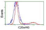 C20orf43 Antibody in Flow Cytometry (Flow)