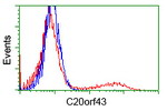 C20orf43 Antibody in Flow Cytometry (Flow)