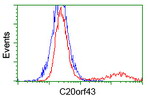 C20orf43 Antibody in Flow Cytometry (Flow)
