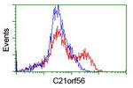 C21orf56 Antibody in Flow Cytometry (Flow)