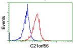 C21orf56 Antibody in Flow Cytometry (Flow)